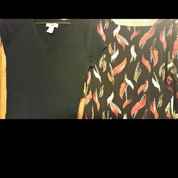 back short sleeve v neck top