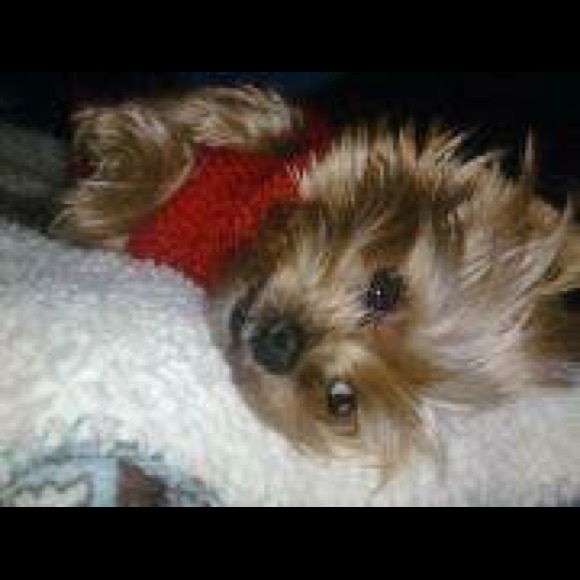 Hi I'm (Jill). I'm from Marietta, Ga - Picture 5 of 5