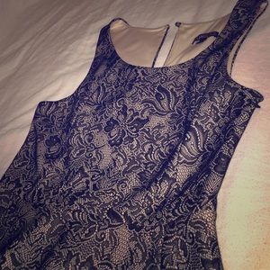 Lace Skater Dress