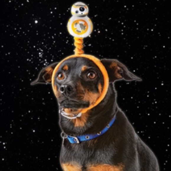 Star Wars Other - Star Wars BB-8 The Force Awakens Pet Dog Headband