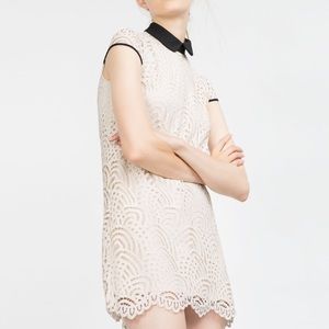 Zara Lace Dress