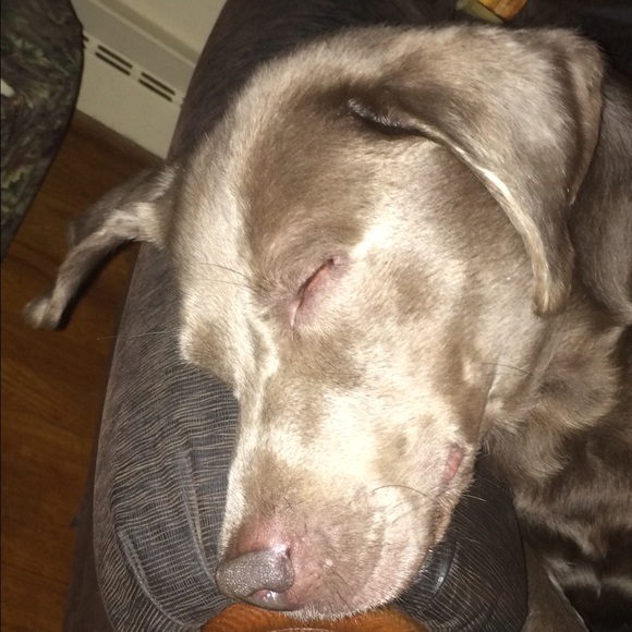 Meet your posher!!!! - Picture 2 of 4