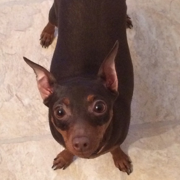 Meet your posher!!!! - Picture 3 of 4