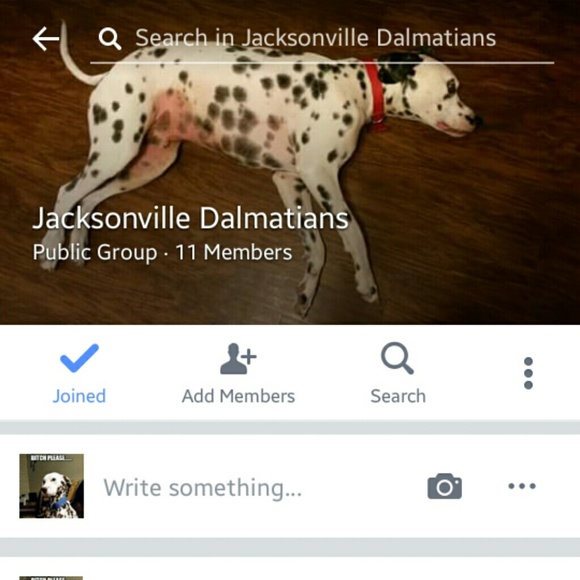 Jacksonville Dalmatians FB group