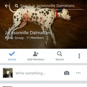 Jacksonville Dalmatians FB group