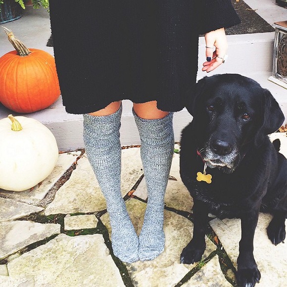 Free People Accessories - Free People Blue Pioneer 2 thigh high socks