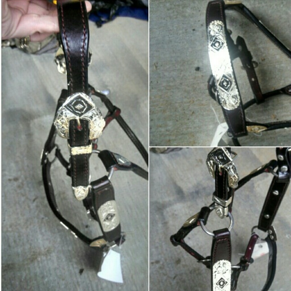 NWT Silver Collection Show Halter