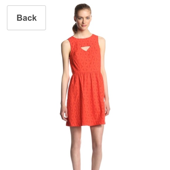 Kensie Eyelet Dress (never worn!)