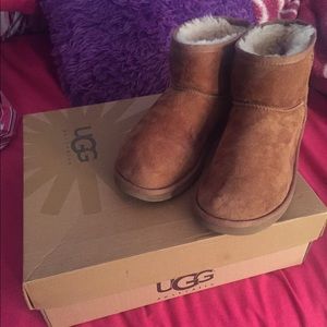 Classic Chesnut Mini Uggs. Adult Size 8 Us