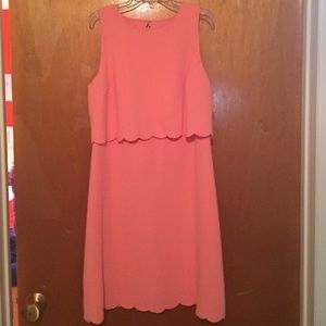 Loft Pink Dress