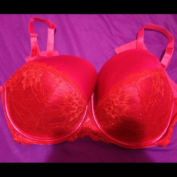 Lane Bryant Bra