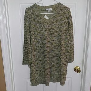 Women's 2x plus size sweater hi/low nwt cj banks