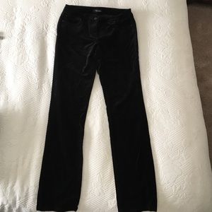 White House black market black velvet pants