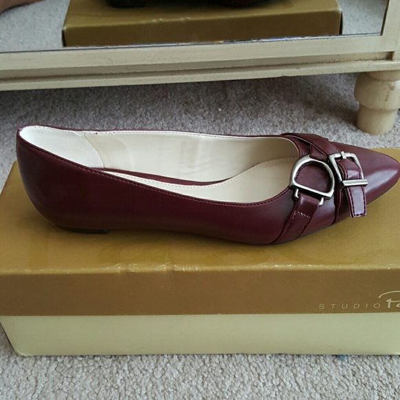 Dressy pointy toed flats!