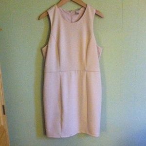 Structured Blush Dress