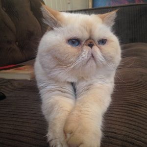 Marc Jacobs jacket RESERVED