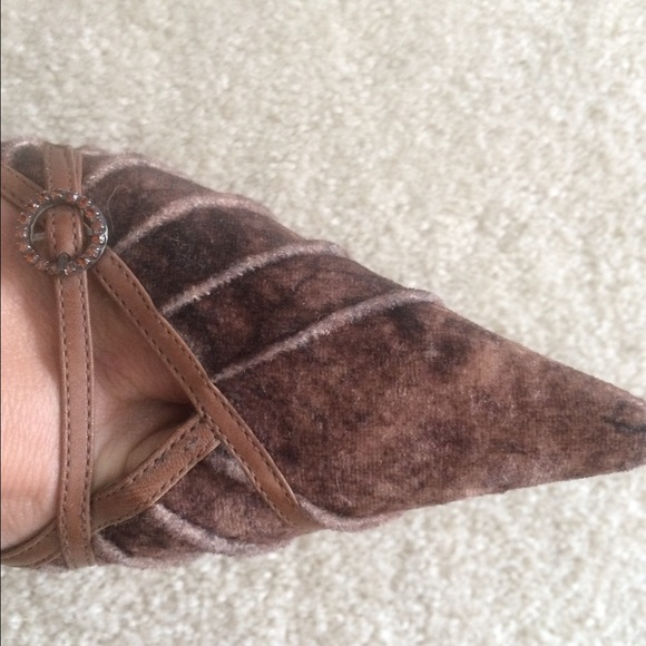 Carlos Santana Being Stiletto - Picture 4 of 4