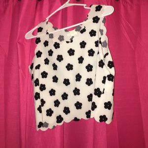 Scalloped Daisy Crop