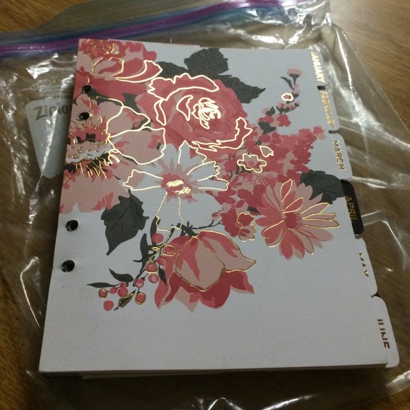 Inserts ONLY from HS Medium BW Stripe Planner.