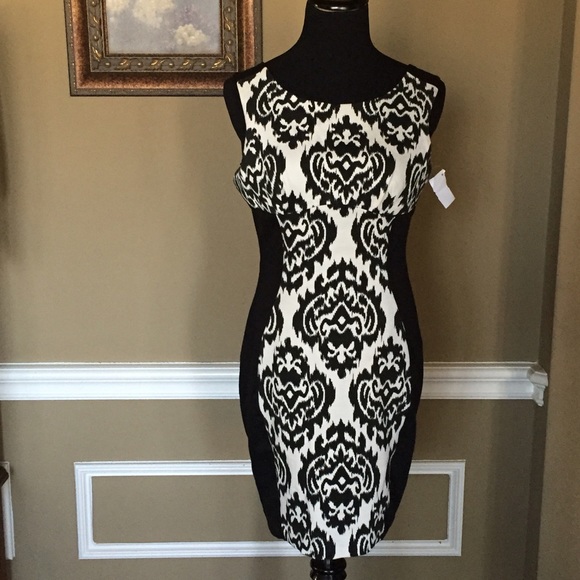 💖HP Style Staples 2/27 💖 Boutique Bodycon Dress