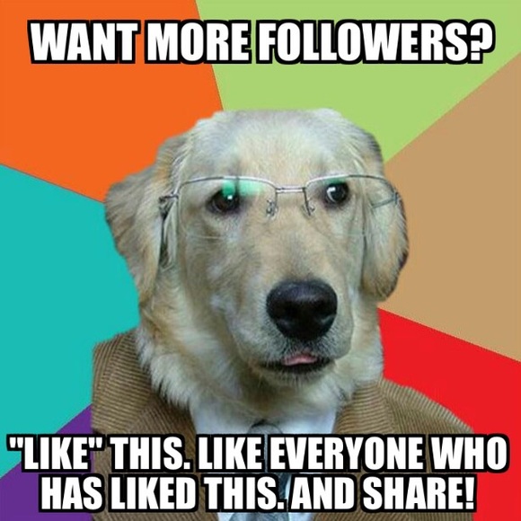 Like, follow and share. - Picture 1 of 1