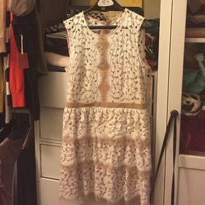 bcbg max azria lace dress