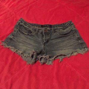 ocean drive size 7 jean shorts