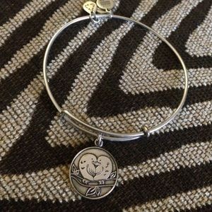 RARE Alex and Ani Perfect Pair Bangle