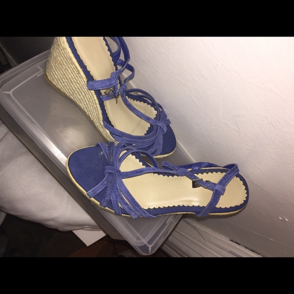 Blue wedges