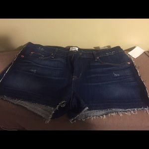 Ladies Hudson Shorts