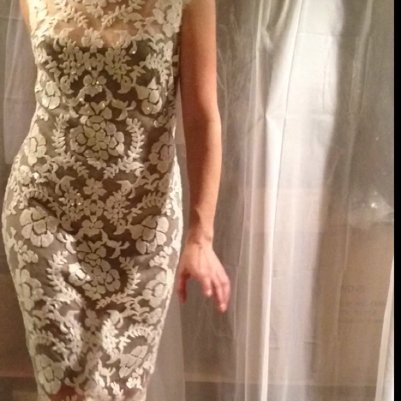 Tadashi Shoji Dresses & Skirts - Lace Overlay Evening Dress