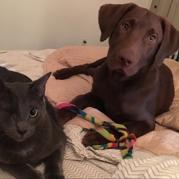 Meet my new assistant, Gusterson, or GUS! - Picture 3 of 7