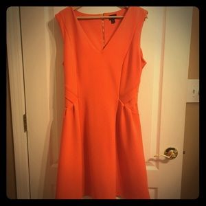 Sleeveless V Neck Fit and Flare Dress