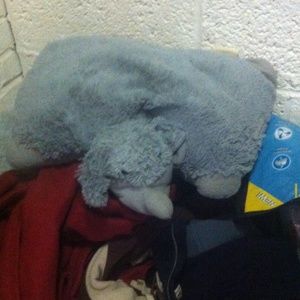 Elephant pillow