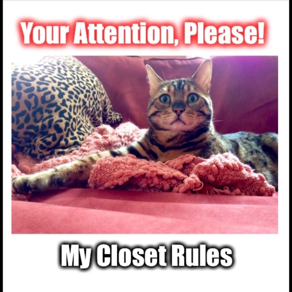 Rules for my closet.  TY!  💚😽 - Picture 1 of 6