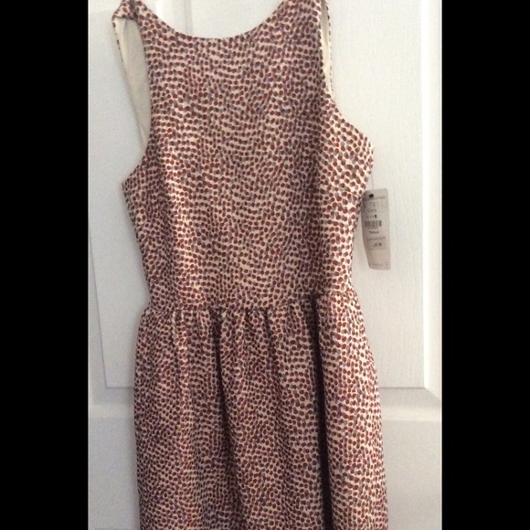 Zara fit and flare dress