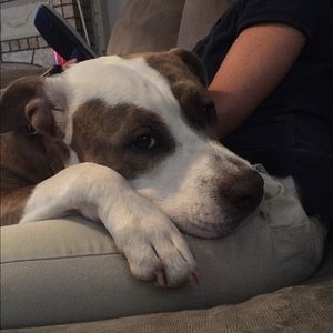 Meet your Posher, Kathy