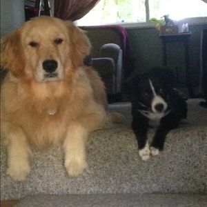 Meet your Posher, Teresa