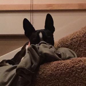 Meet your Posher, Tricia