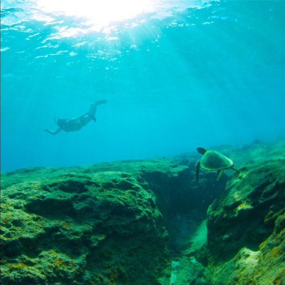 🐬ALOHA! Welcome to My Closet!!🌺 - Picture 6 of 6