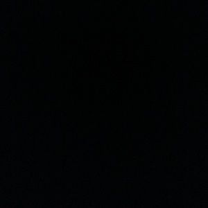 Meet your Posher, Max