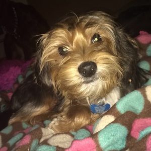 Meet your Posher, Danielle