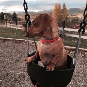 Meet your Posher, Annabell