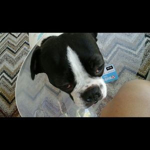 Meet your Posher, Shannon