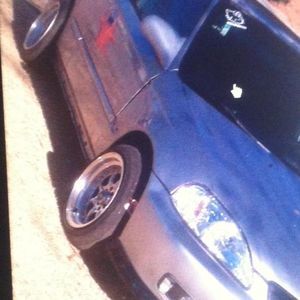 Meet your Posher, Joey