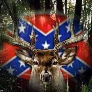 Meet your Posher, Mellies