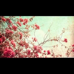 Meet your Posher, Kailey