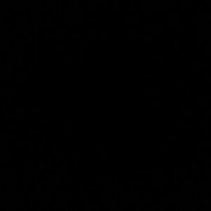 Meet your Posher, Carson