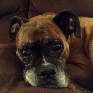 Meet your Posher, Becky