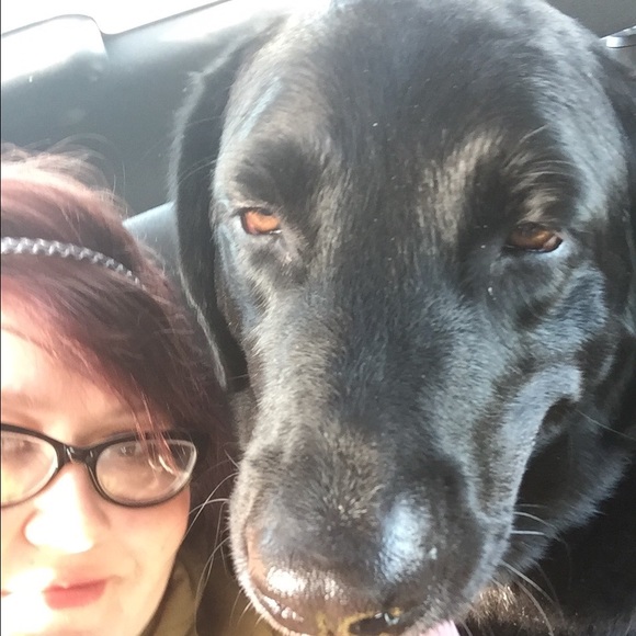 Meet your Posher, Casey - Picture 4 of 5